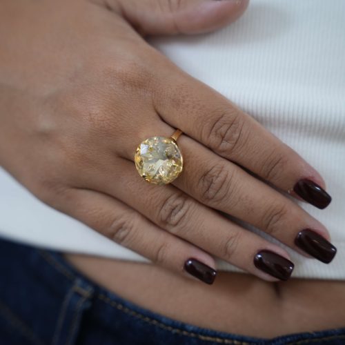 טבעת אבקן - שמפניה