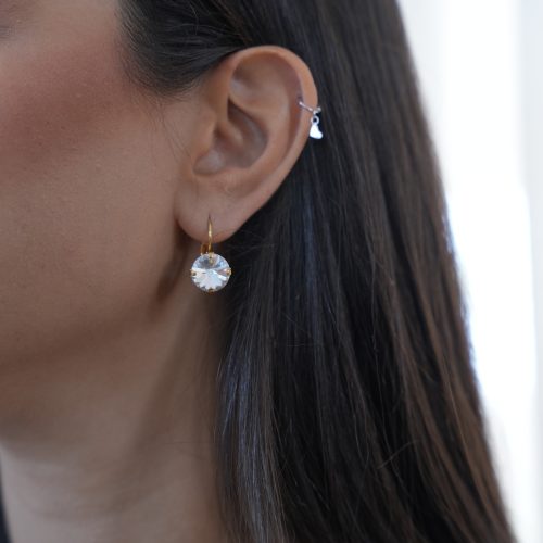 עגילי אבקנית - שקוף